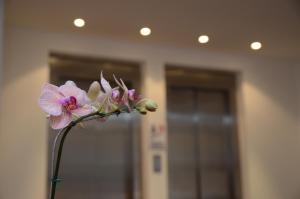 Grand Crucero Hotel