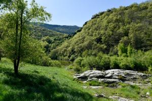 Maisons d'hotes Loz'aire naturelle : photos des chambres