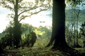 Hardanger Feriesenter Nesvika