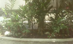 Ap. portaria 24 hsárea de lazerItagua