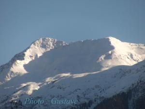 Abeille Saint Michel
