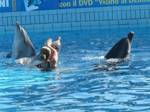 Hotel Villa Ersilia Rimini B&B