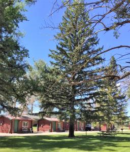Queen Cabin - Pet Friendly room in Z Bar Motel