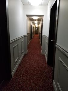 1-Bedroom Cozy Suite #26 by Amazing Property Rentals