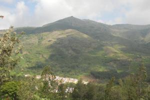 Relaxing 2 BR Estate House, Deenaty, Tamil Nadu