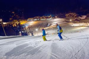 Chalets LE QUARTZ DES HAUTES-VOSGES : photos des chambres