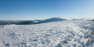 Chalets LE QUARTZ DES HAUTES-VOSGES : photos des chambres