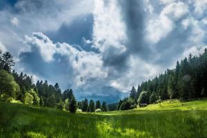 Chalets LE QUARTZ DES HAUTES-VOSGES : photos des chambres