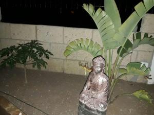 VILLA Atlantico Views