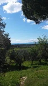 Agriturismo Tenuta di Vignale - Vignale