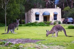 Marwood Villas - Dunkeld