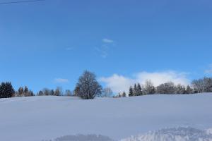 Chalets Le Chalet d'Ulysse : photos des chambres