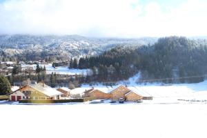 Chalets Le Chalet d'Ulysse : photos des chambres