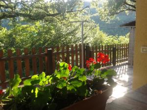 Agriturismo Orsaiola