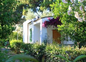 Villaggio Turistico Residence Delfino