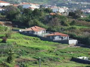 Paraiso das Flores