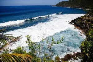 Nolitha - Manapany-les Bains