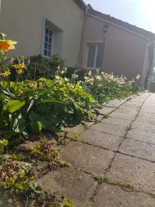 B&B / Chambres d'hotes Le clos de Tournes : photos des chambres