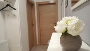 Apartman Pampas Osijek