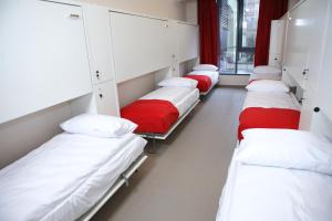 City Express Hostel