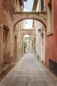 Arts and Flowers - Sinalunga