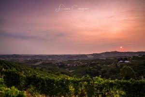 Pansion Agriturismo Ai Ciuvin - Moscateria Castiglione Tinella Itaalia