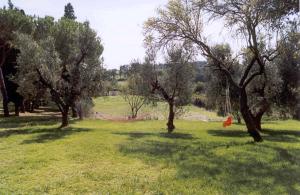 Agriturismo Tenuta di Vignale