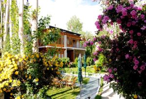 Hotel Ladakh Greens - an Organic Retreat