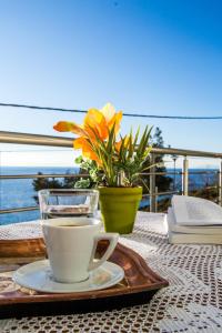 Dreamy Home by the Sea Thassos Greece