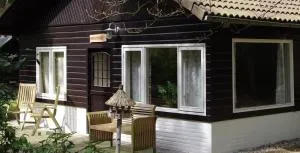 Kleine huisje op de Veluwe - 奥特罗