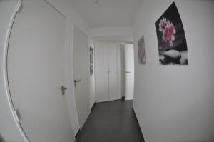 Appartements Albatros : photos des chambres