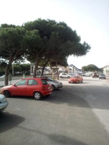 estudio Viola