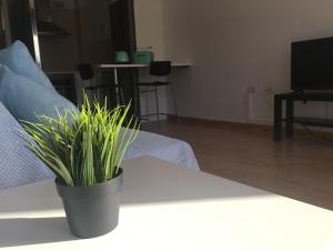 Vacacional balcon al mar centro Santa cruz