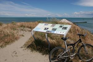 Romea Family Camping