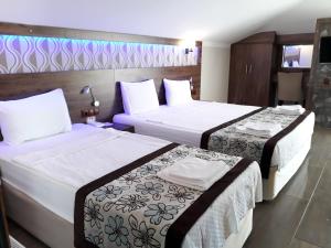 Triple Room with Balcony room in Dolphin Apart Hotel