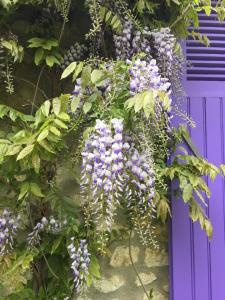 B&B / Chambres d'hotes Villa Boreas : photos des chambres