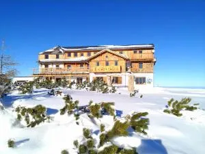 Almhaus Dachsteinblick am Feuerkogel - Ebensee