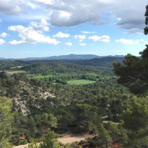 Maisons de vacances Mas la Pinede : photos des chambres