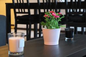 Appartement la Fontaine