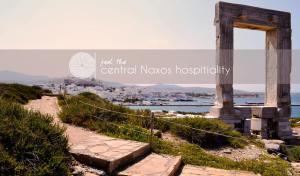 Ariadne & Theseus Apartments Naxos Greece