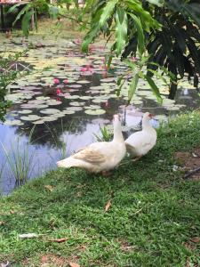 Nubdao Resort&Restaurant