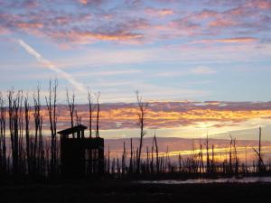 Hornborgasjöns Stugby