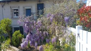 4 stern appartement Les Giroflées Coubon Frankreich