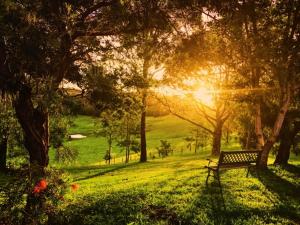 Tropical Coast Retreat - Pet Friendly - Adult only