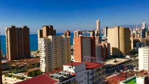 Piscis Of The Sea Benidorm