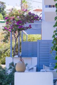 Hotel Manto Paros Greece