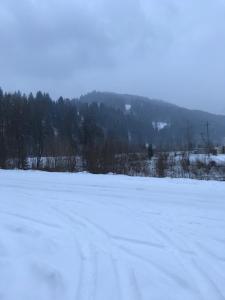 Ресторан-Готель Міжгірʼя