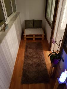 Premium Central Apartment