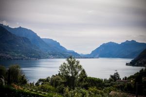 Appartamento rosmarino