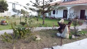 Il Gabbiano - Paringianu